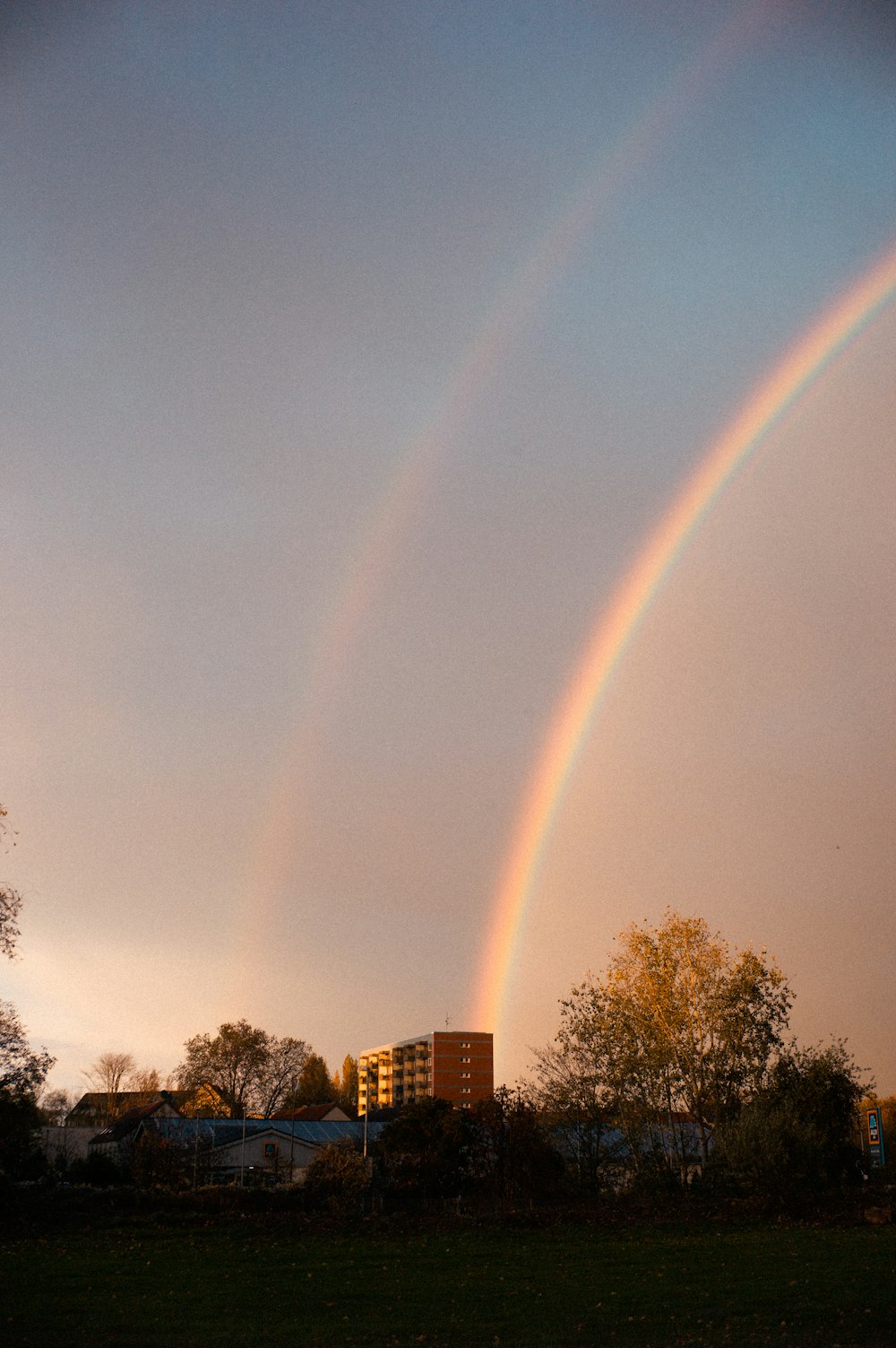 green trees near buildings under rainbow