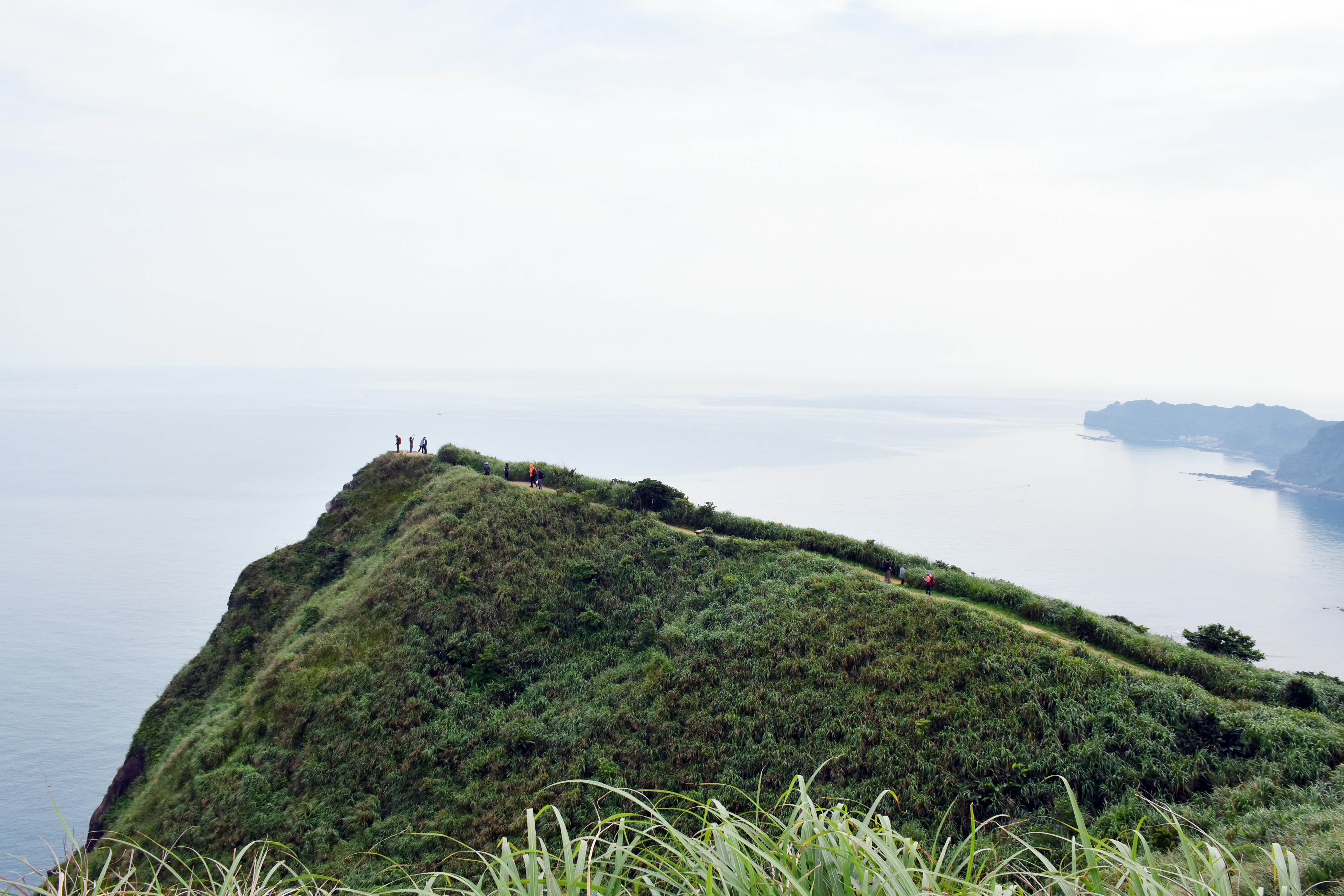 green grass field near body of water during daytime