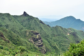 Panoramic view of the green mountains and biodiversity surrounding the tourism routes.
