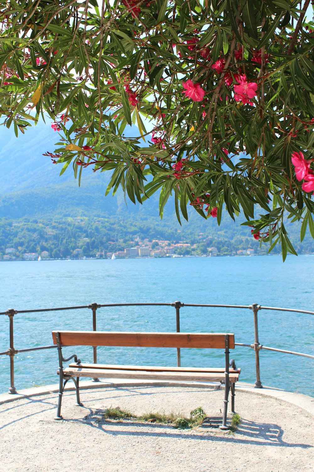 brown wooden bench near body of water during daytime