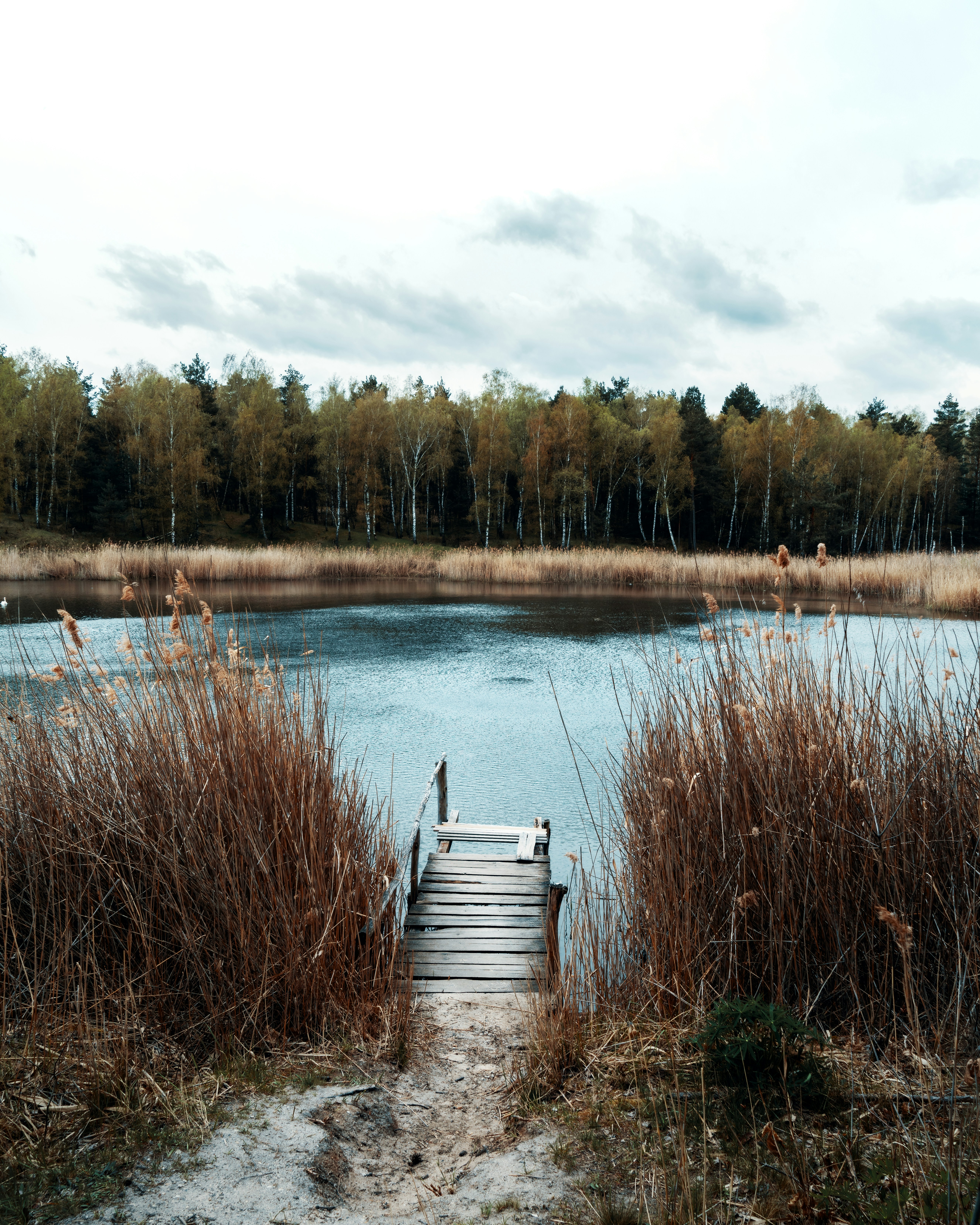 Photo by roccoronneburg