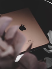 A close-up view of a gold-colored iPad with the Apple logo prominently displayed in the center. The word 'iPad' is visible near the bottom of the device. The device is surrounded by soft, out-of-focus pink flowers or petals, creating a gentle and elegant composition.
