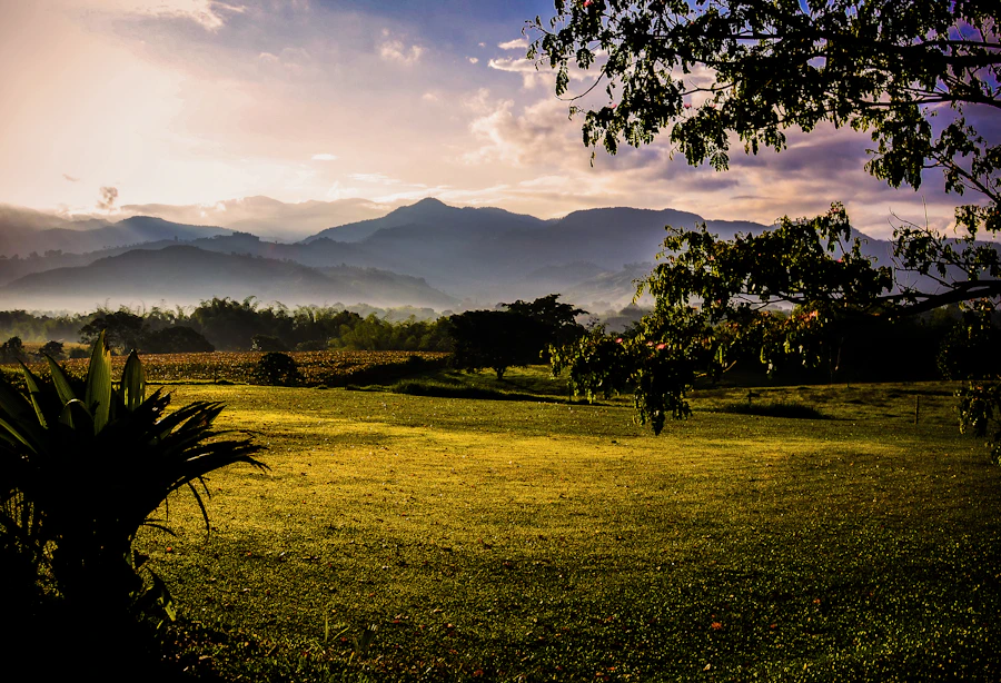 Paisaje colombiano en el Eje Cafetero
