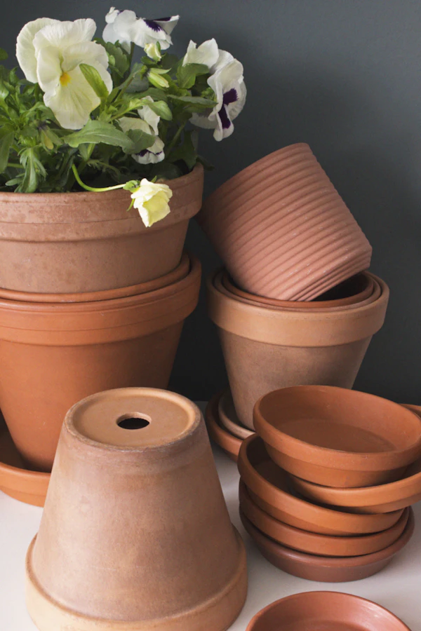 Plant pots — terracotta, bonsai, glass, plastic