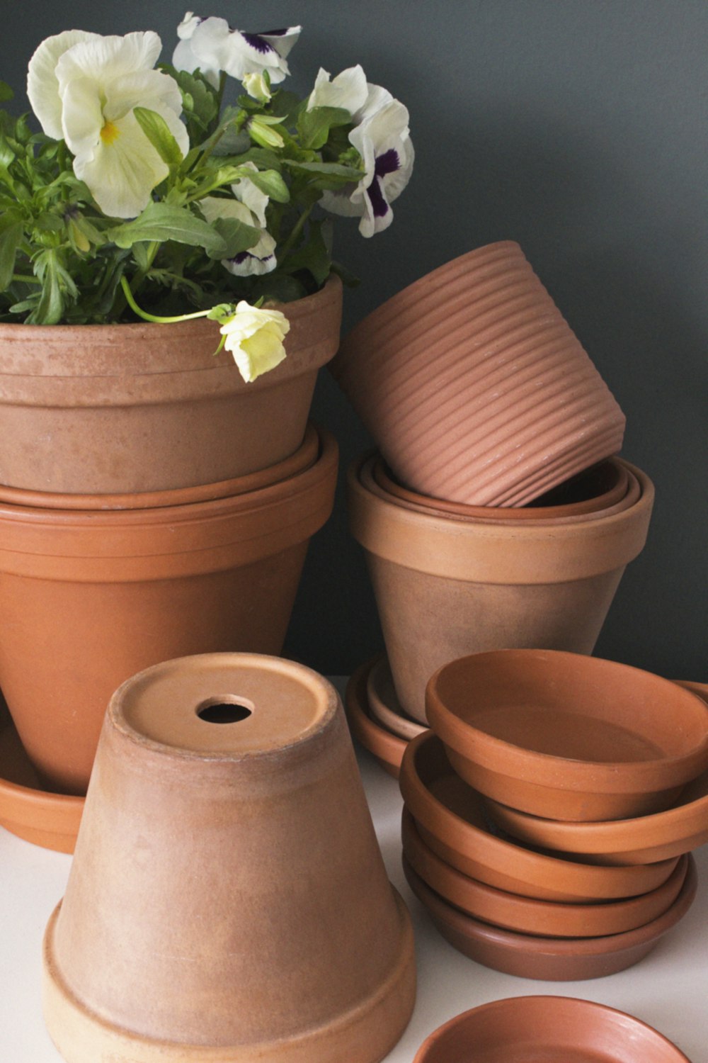 Pots en argile brune avec des plantes vertes