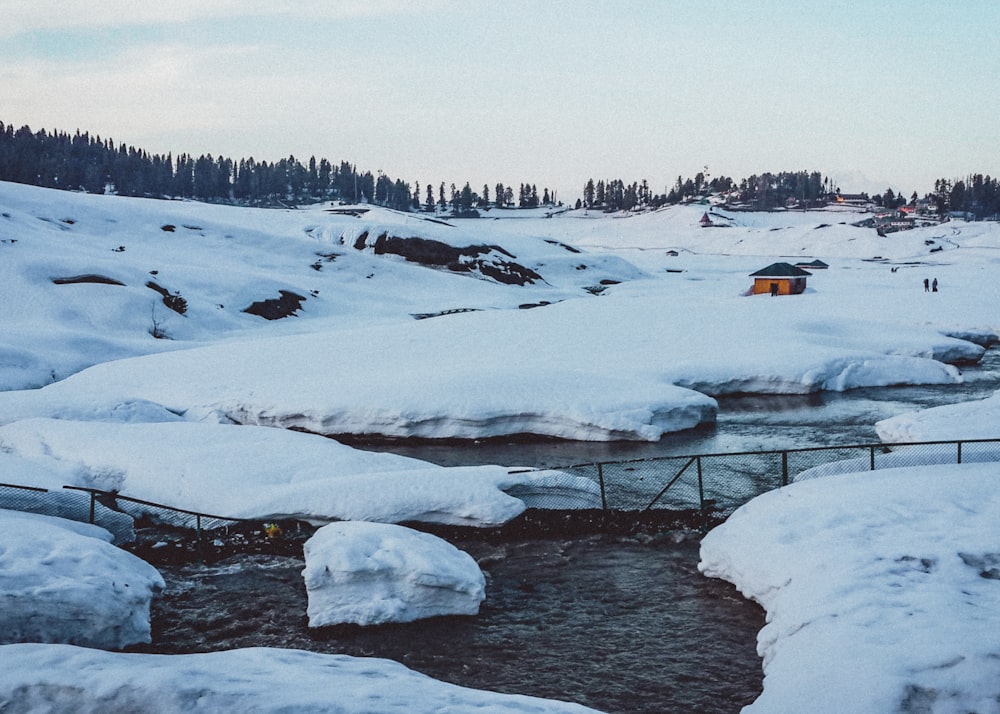 Campo cubierto de nieve y árboles durante el día