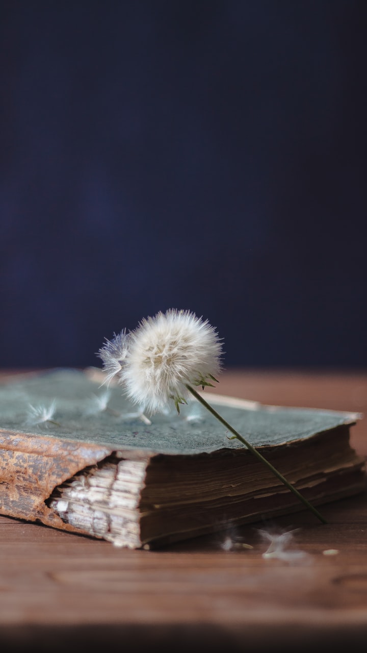 Dead Dandelions