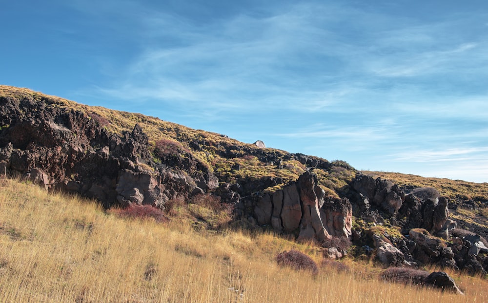 brown and green rock formation under blue sky during daytime