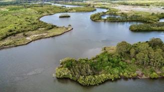 Aerial view of a lush green landscape with a river.