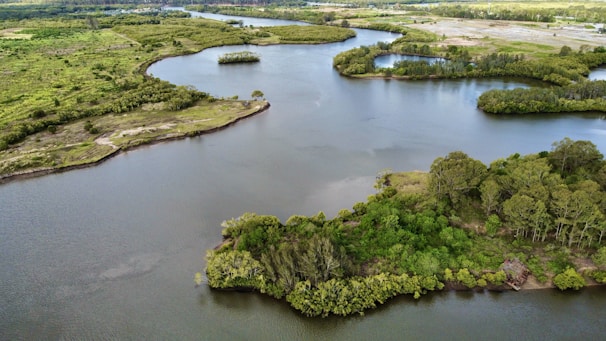 Aerial view of a lush green landscape with a river.