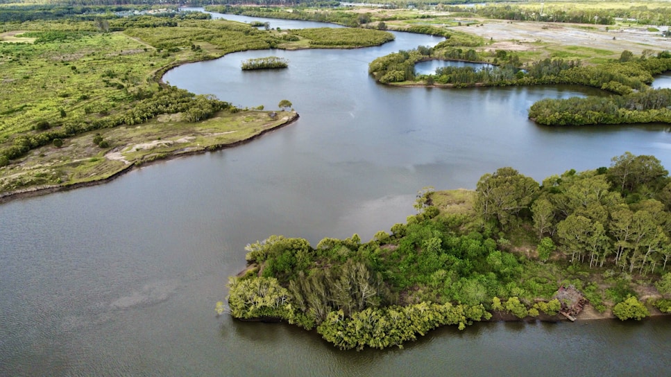 Aerial view of a lush green landscape with a winding river.