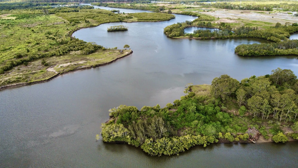 green trees beside river during daytime