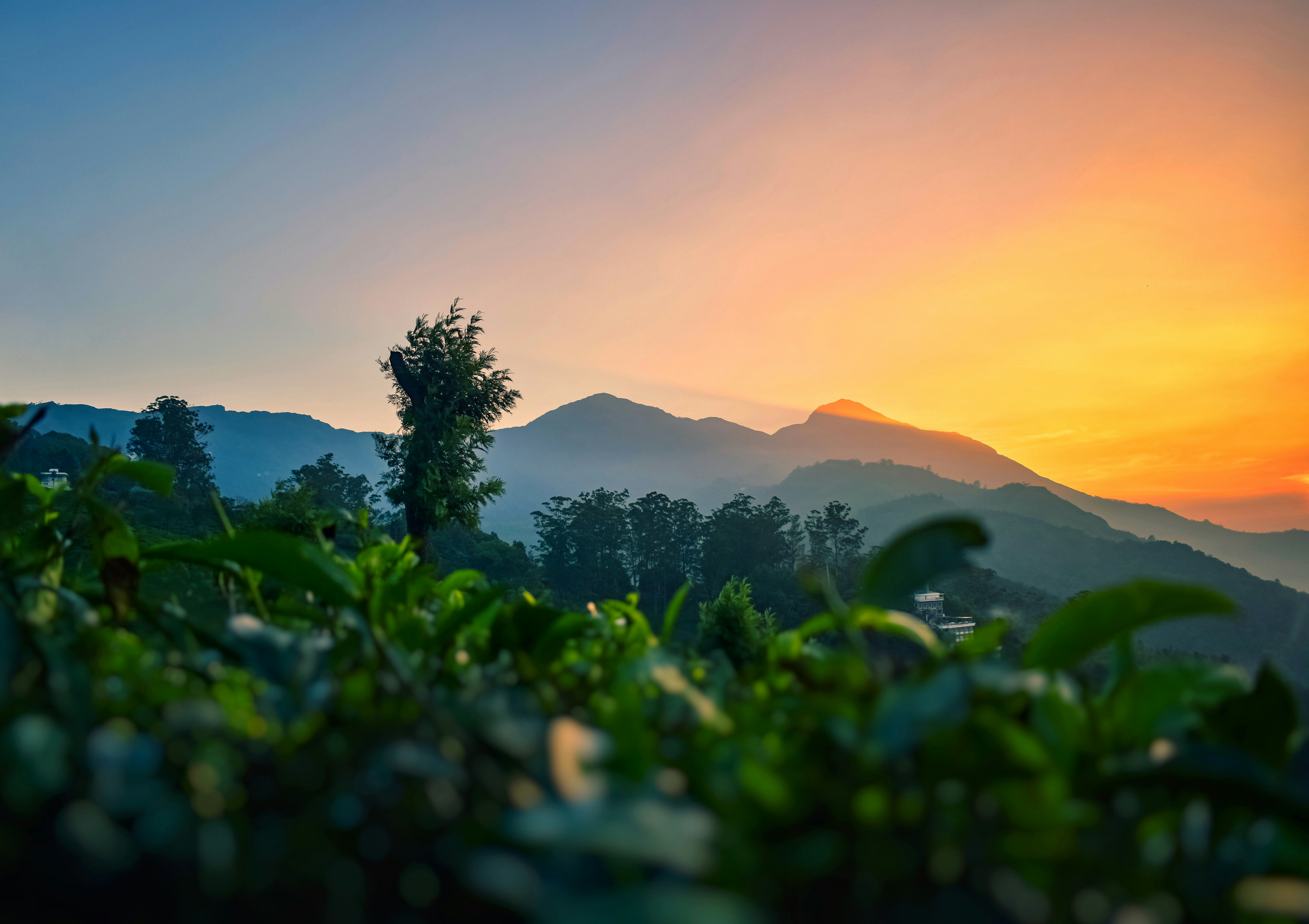 Photo by navi_photography