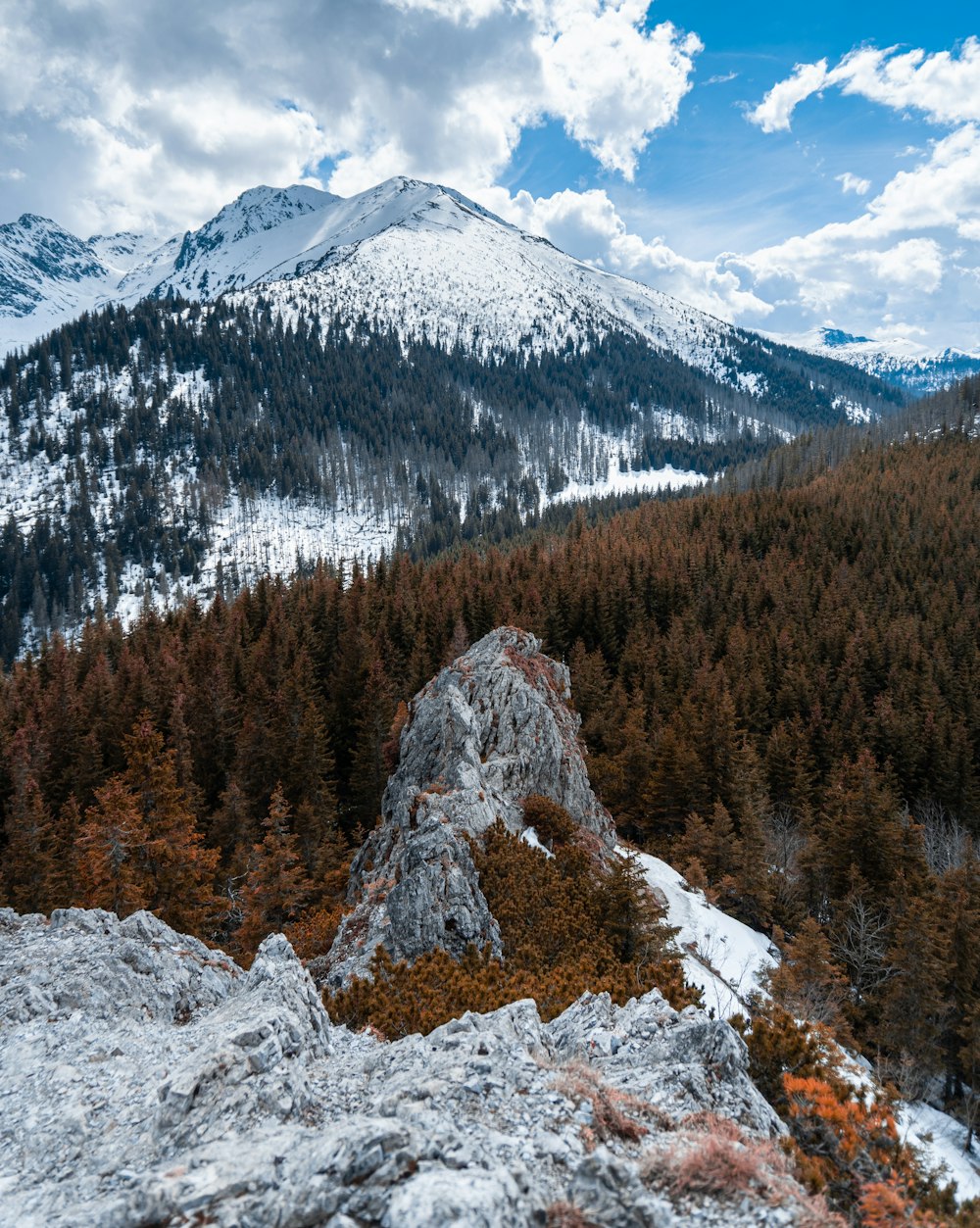 green pine trees on white snow covered mountain during daytime