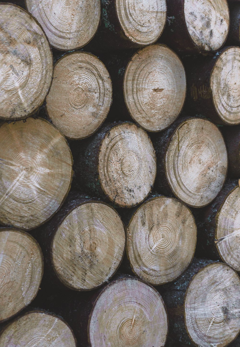 brown wooden logs on black surface