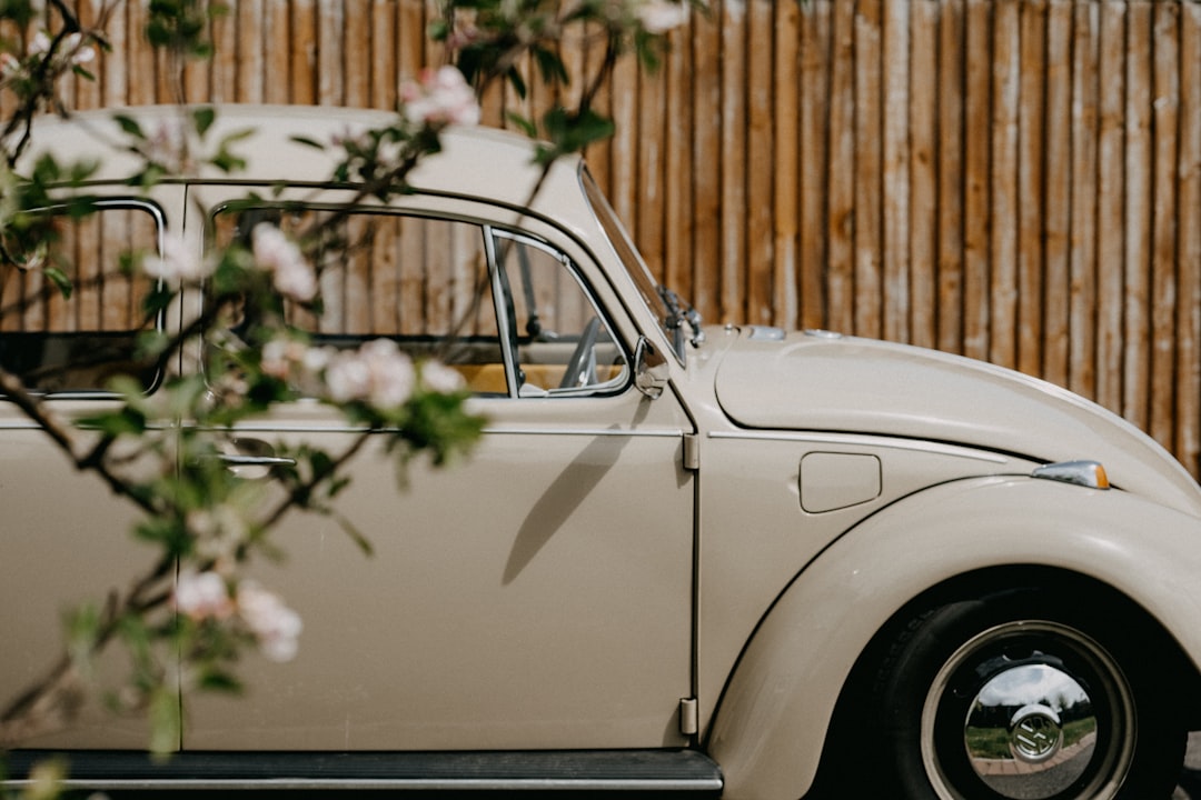 white classic car parked near brown wooden fence during daytime