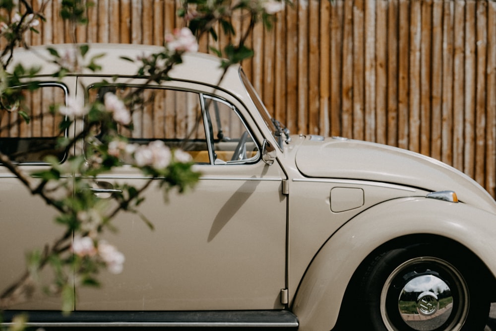 white classic car parked near brown wooden fence during daytime