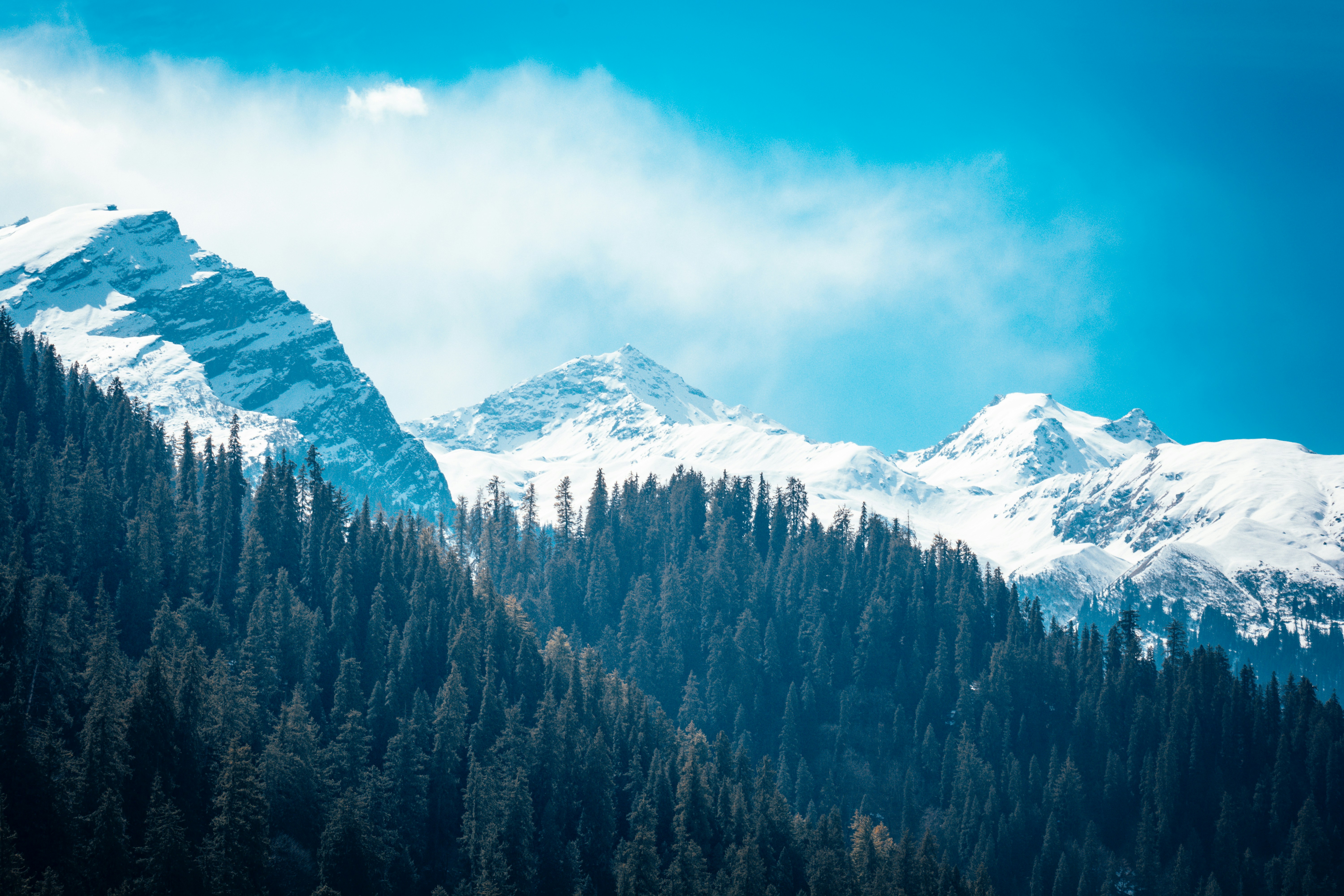 Photo by thefinalshot