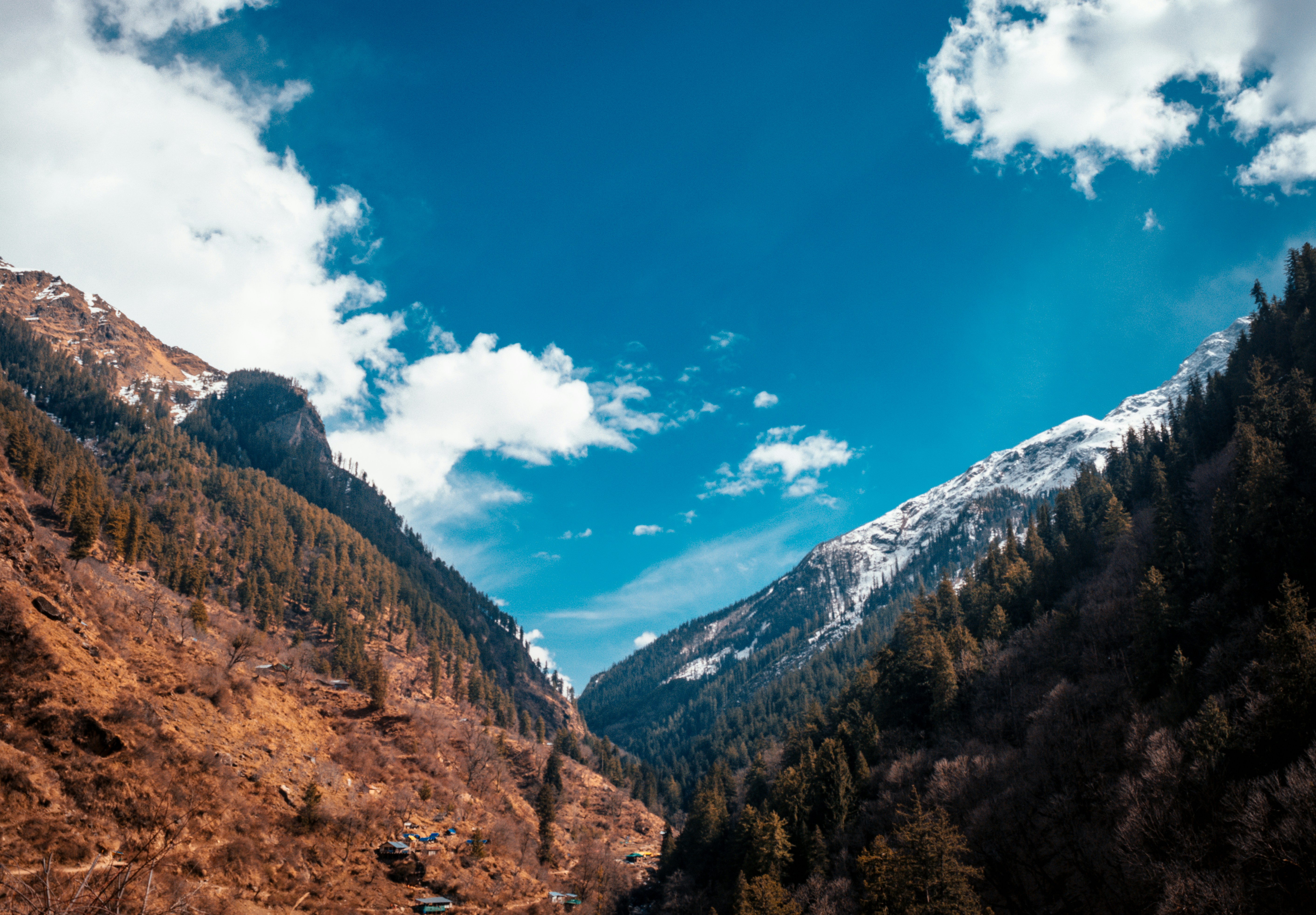 Photo by thefinalshot