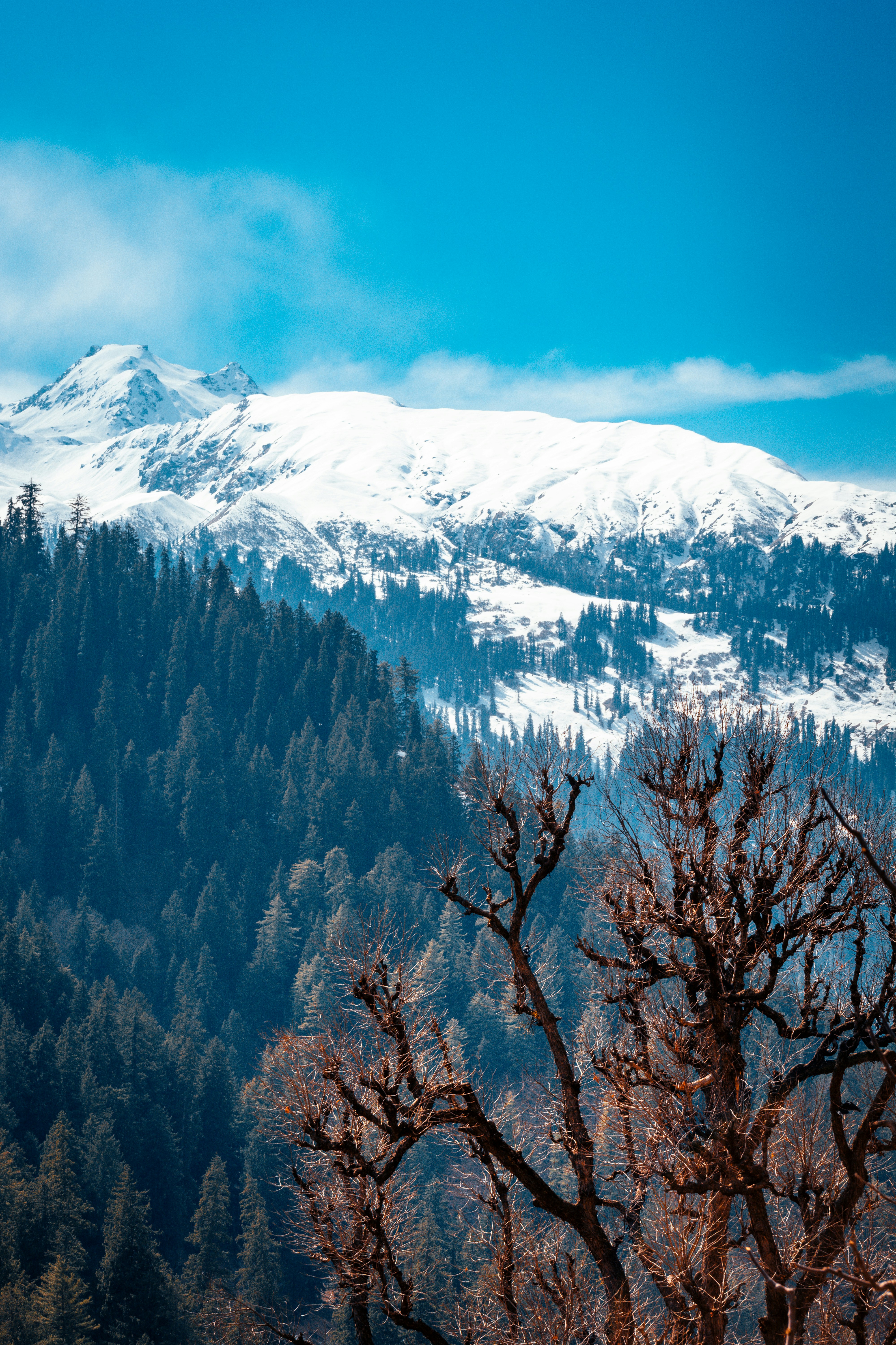 Photo by thefinalshot