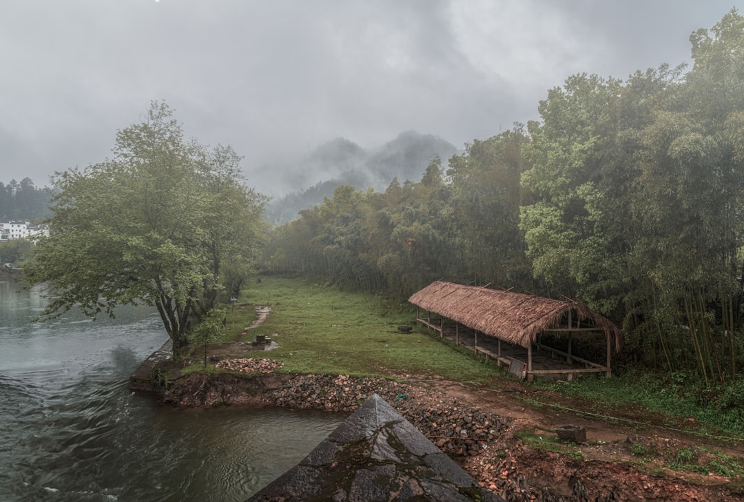 brown wooden house near river surrounded by green trees during daytime