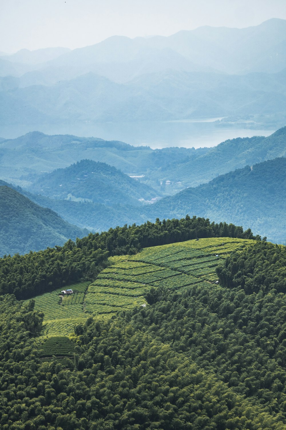 Grüne Bäume am Berg unter blauem Himmel tagsüber