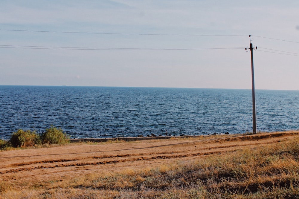 brown grass field near body of water during daytime