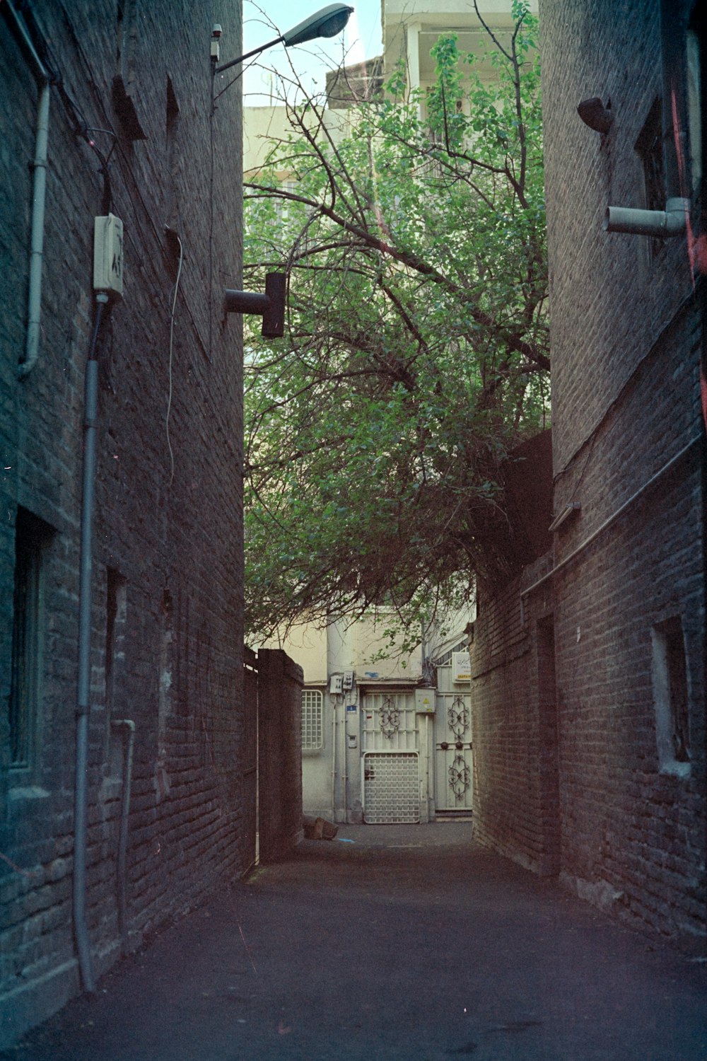 brown brick building with green trees