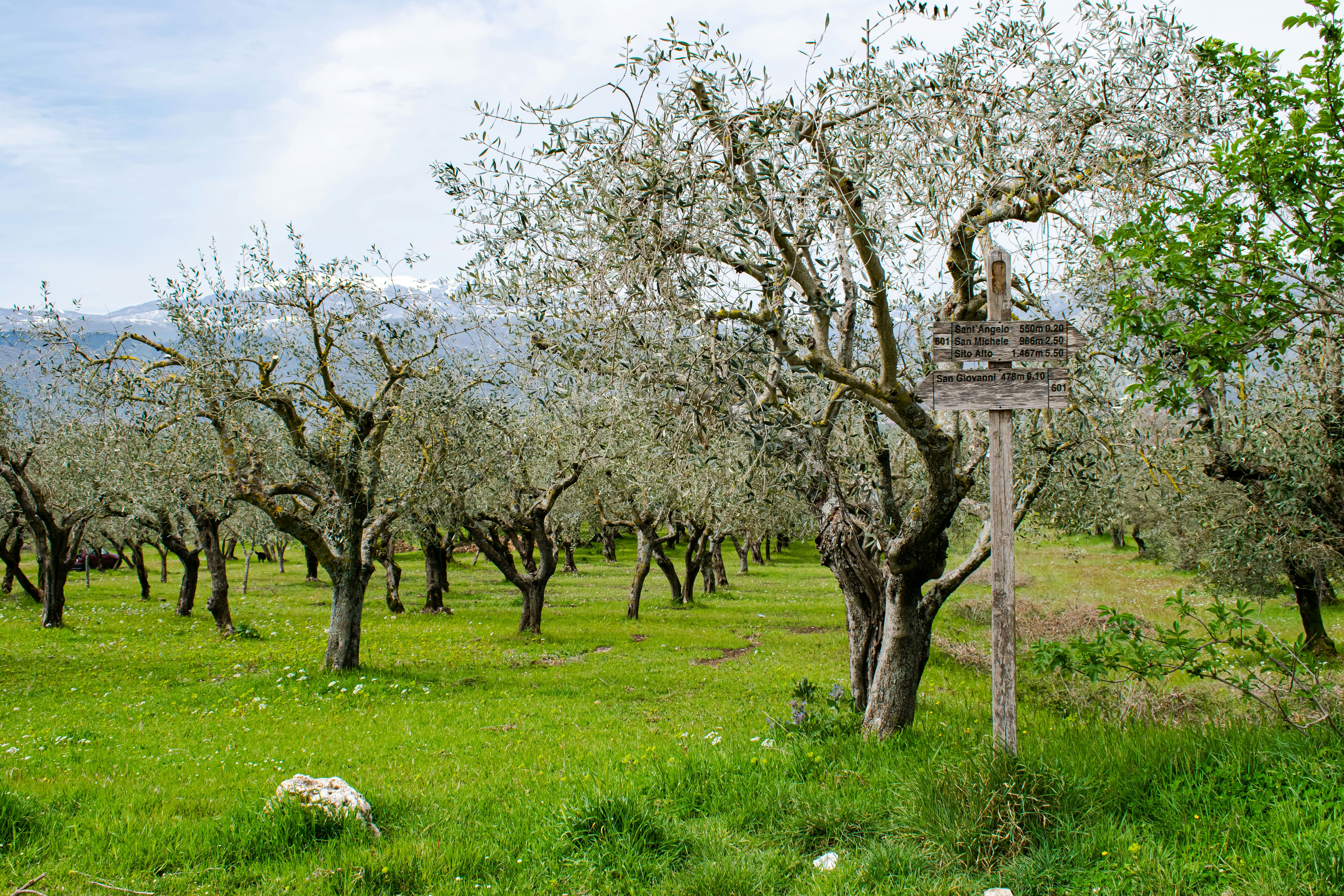 Photo by vincenzobiancamano