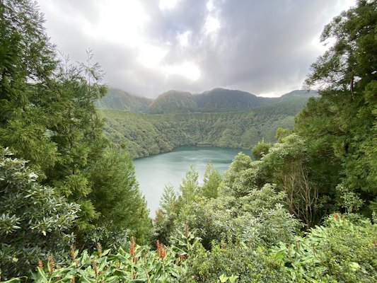 Green trees near body of water during daytime — Azores, Portugal