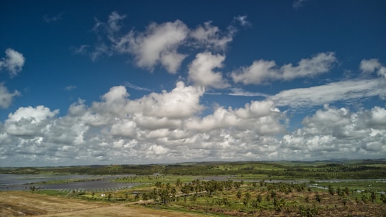 A peaceful gated farmland community with lush fruit and hardwood plantations under a bright Bengaluru sky.