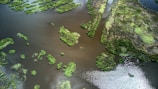 An aerial view of wetlands with patches of green vegetation scattered across dark water. The landscape features a series of irregularly shaped grassy islands surrounded by calm water, creating a mosaic-like pattern. The light casts subtle reflections on the water's surface, enhancing the texture.