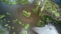 An infographic illustrating wetland restoration efforts.