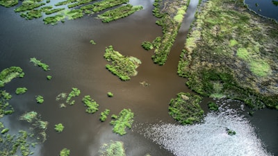 An infographic illustrating wetland restoration efforts.