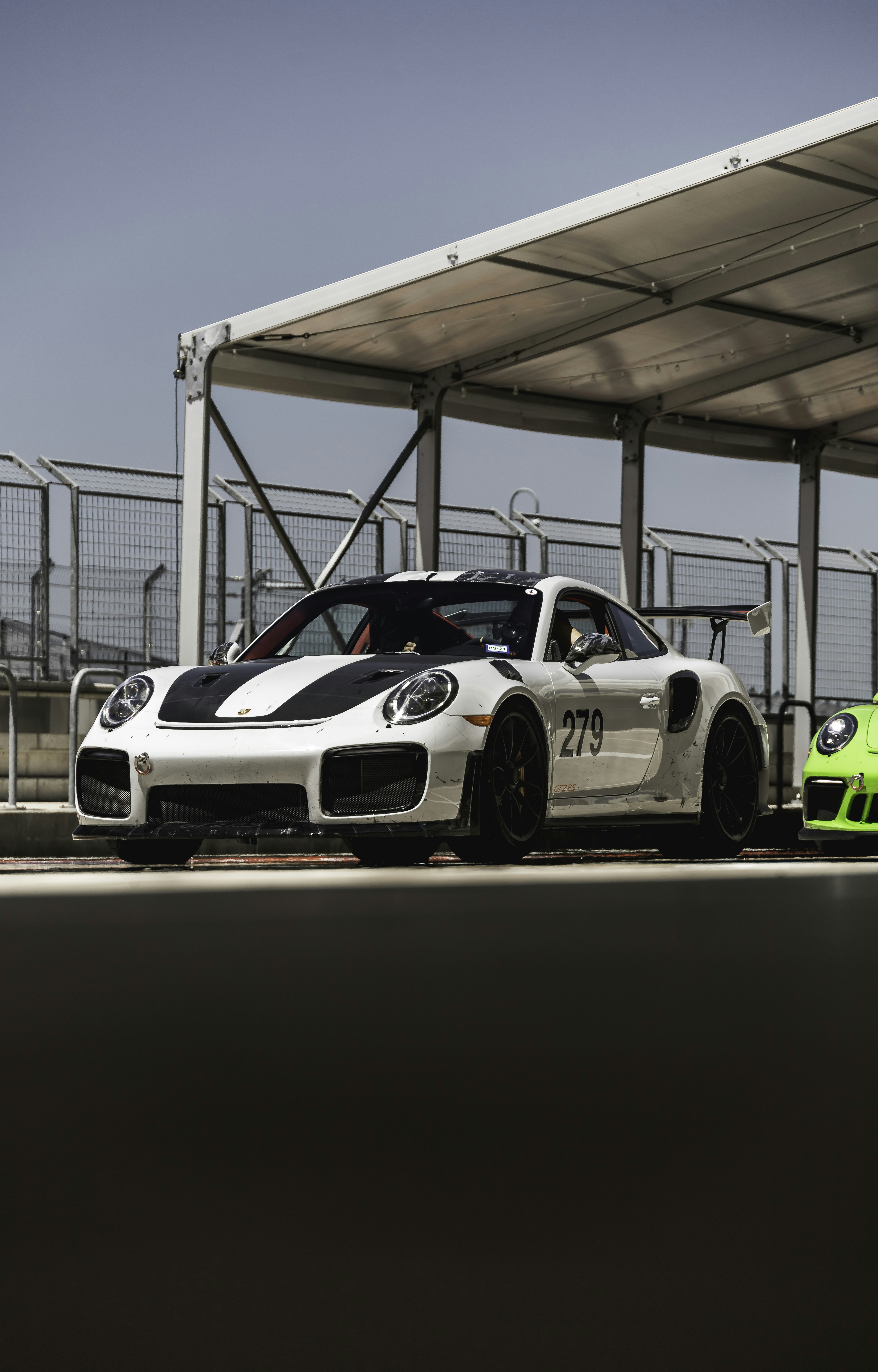 Photo by lonestarexotic