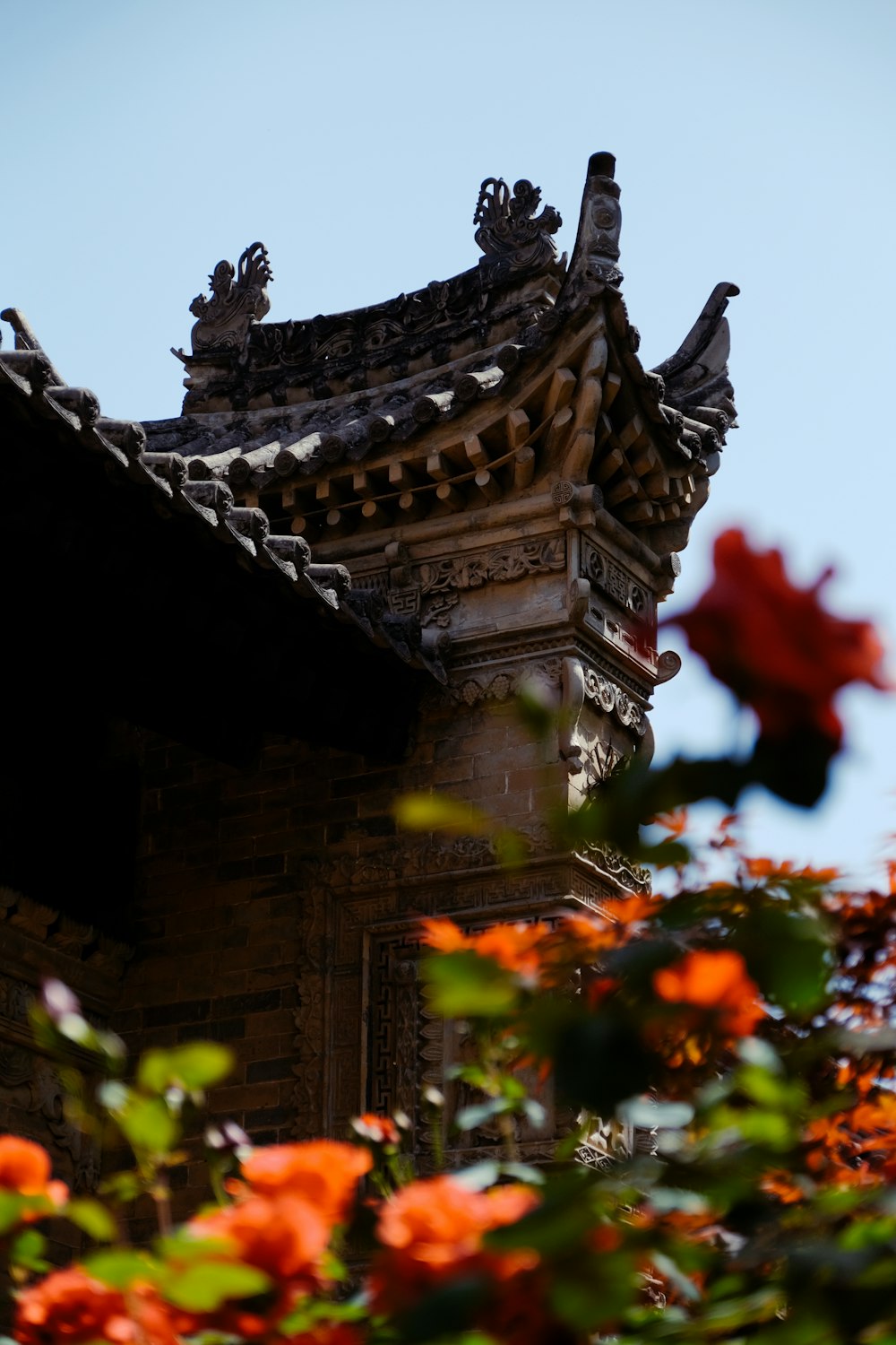 brown concrete building with red and yellow flowers