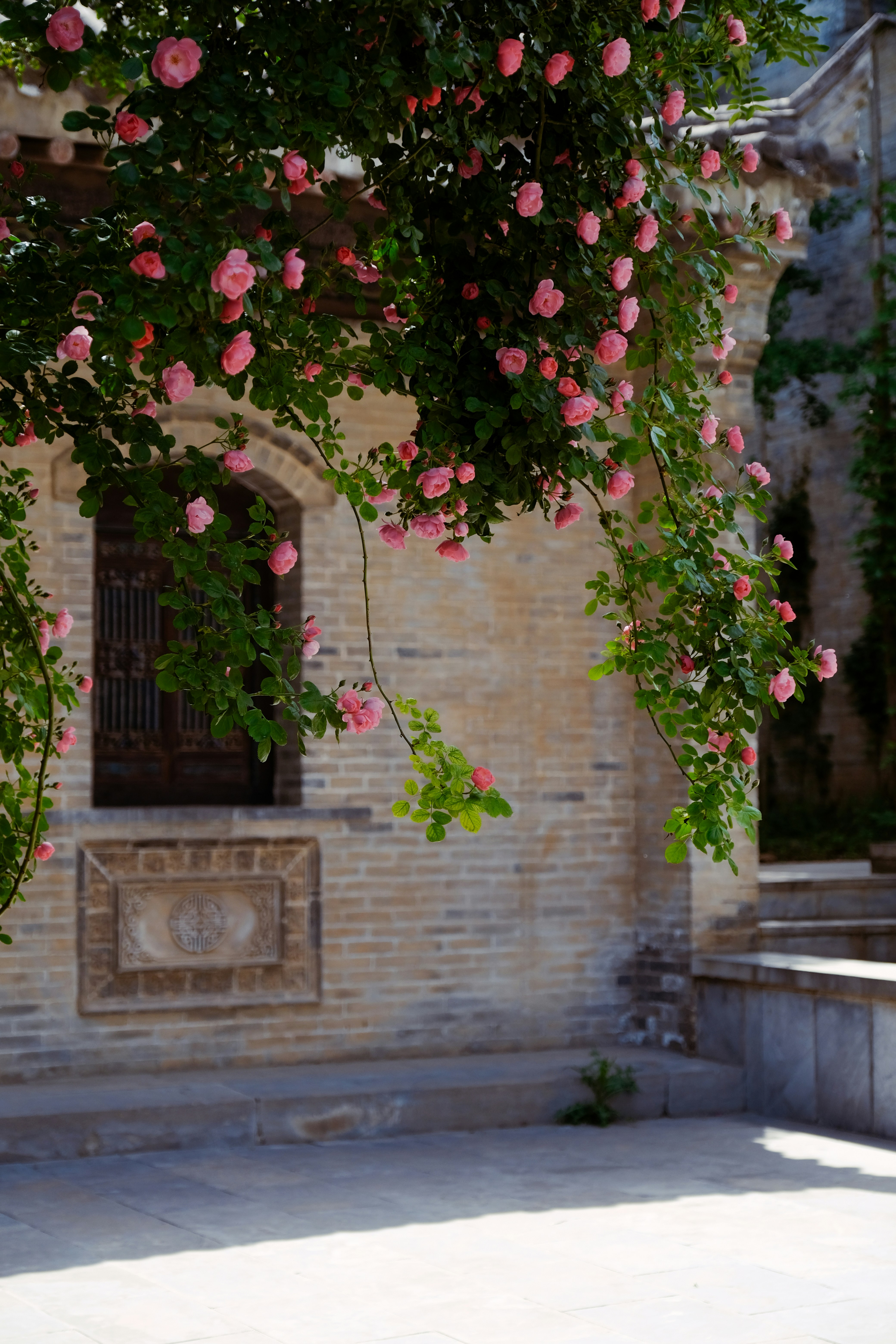 美容鍼灸院 VS 野生のクマ：真実の効果と上田市の奮闘記