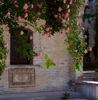 red flowers on brown brick wall