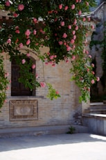 red flowers on brown brick wall