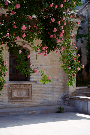 jardin fleuri en location courte durée la rochelle