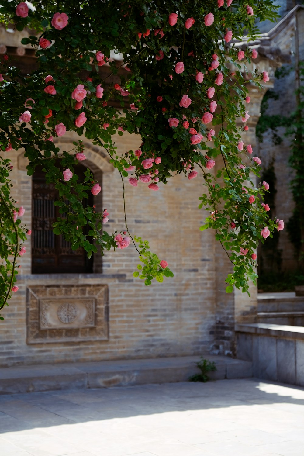 red flowers on brown brick wall