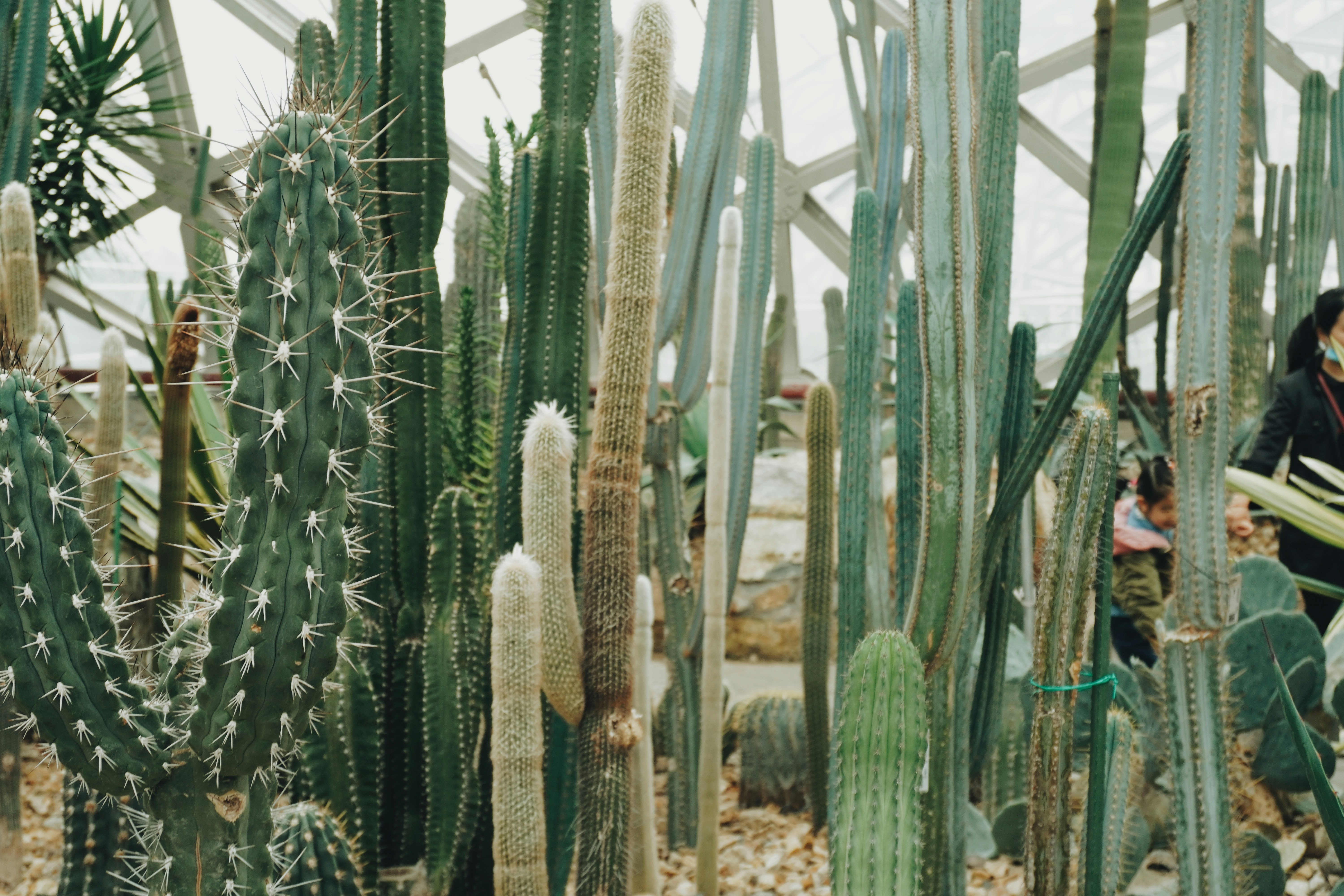 Photo by sakamotomari