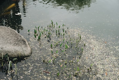 A well-maintained detention pond with clear water.