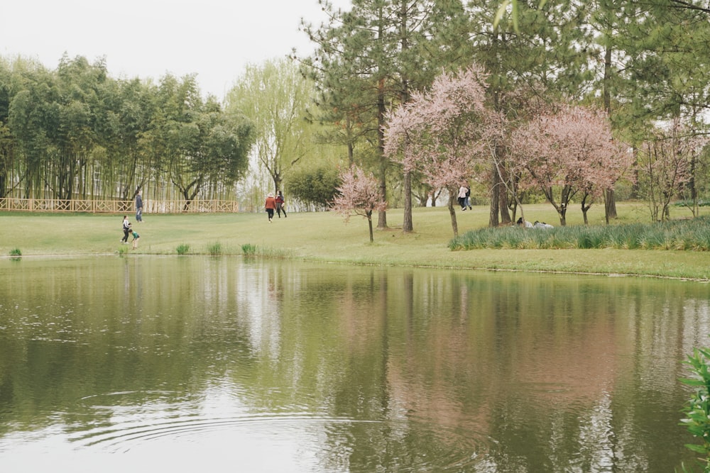 people walking on green grass field near lake during daytime