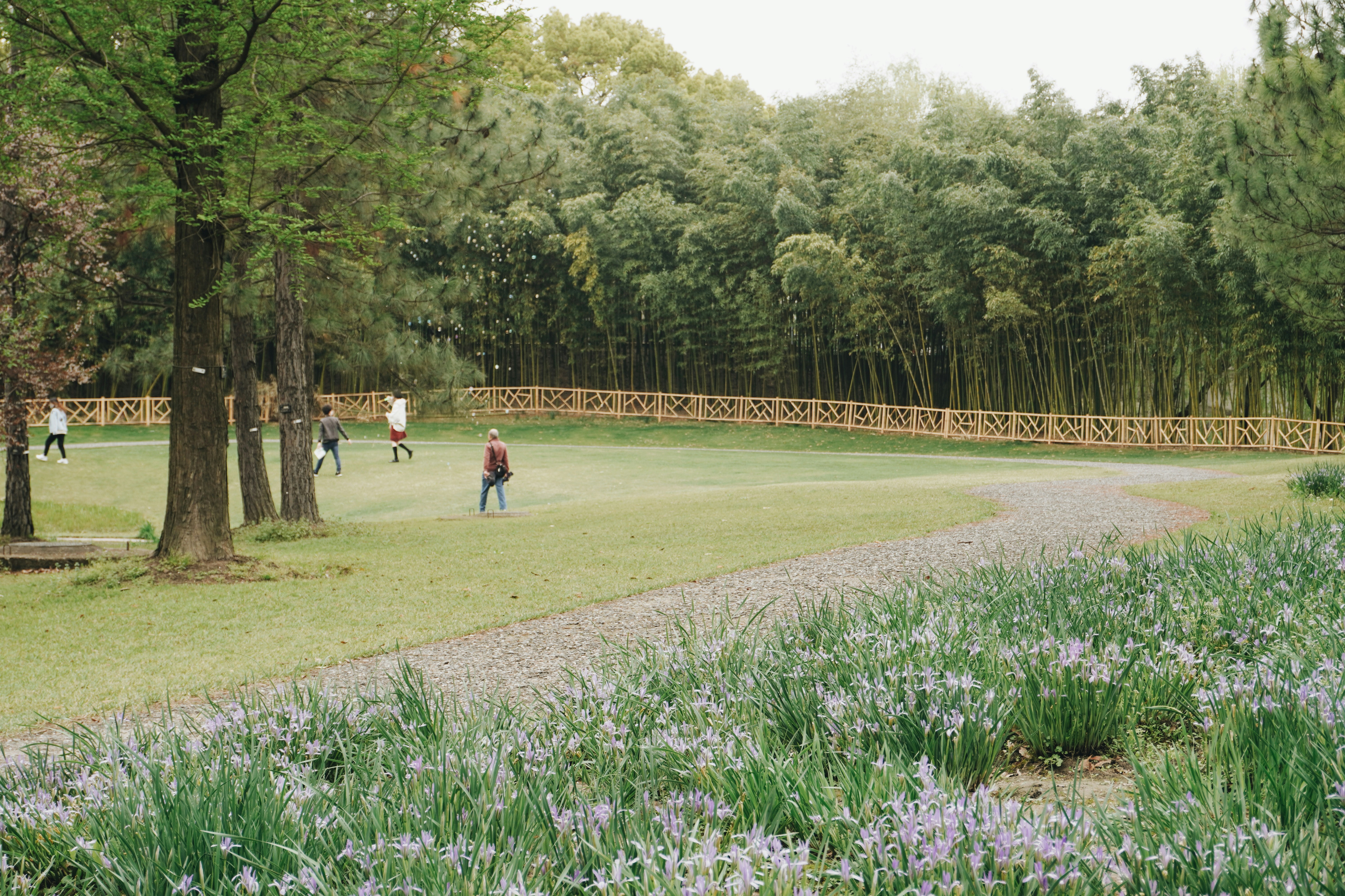 Photo by sakamotomari