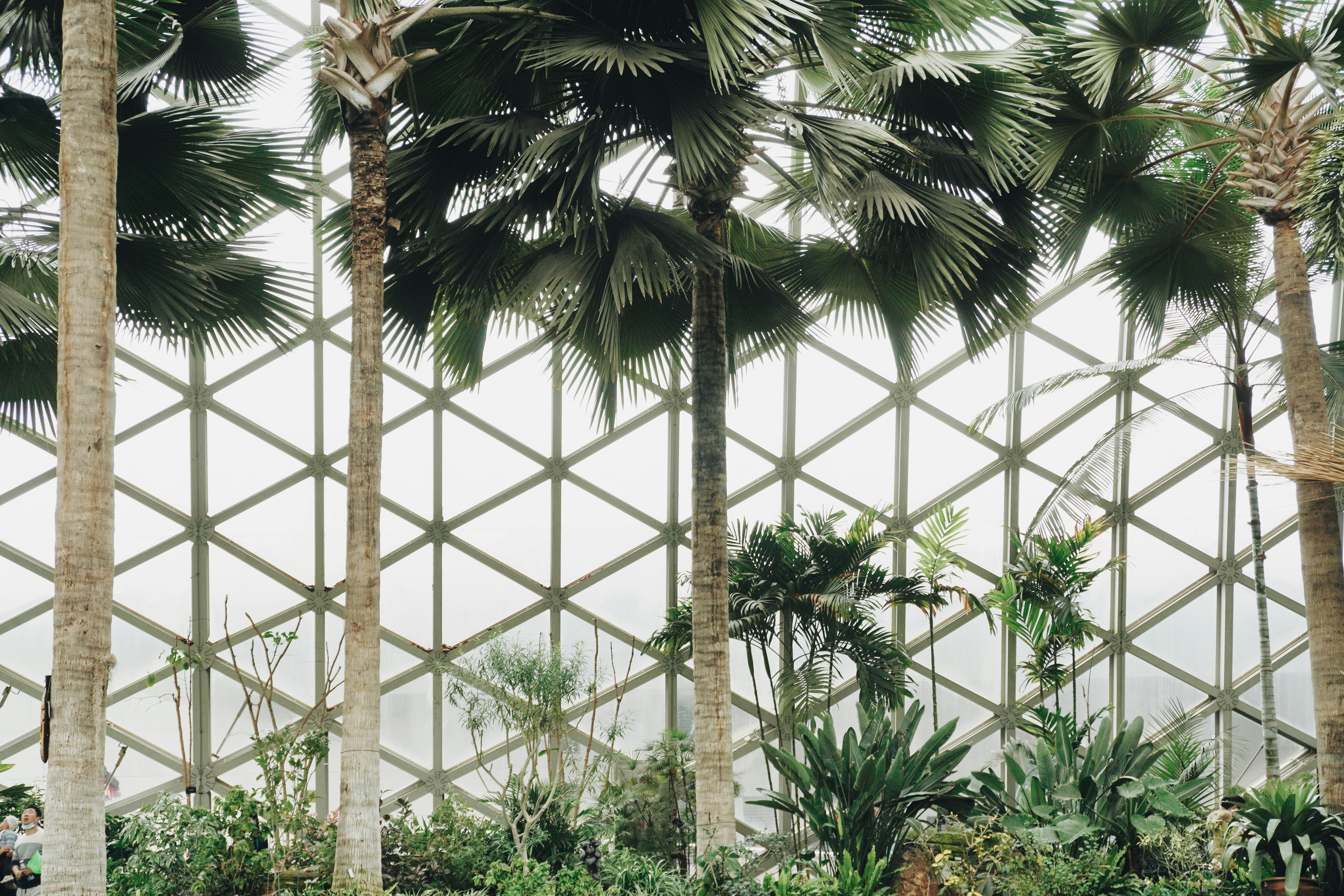 Photo by sakamotomari