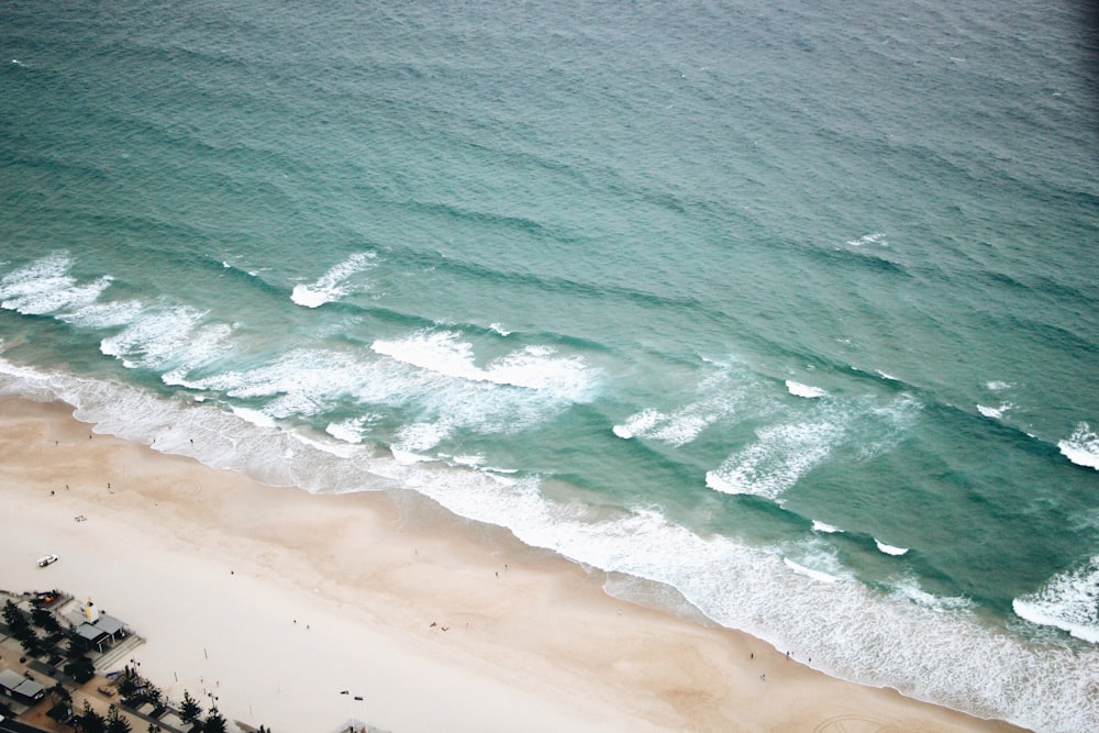 people on beach during daytime