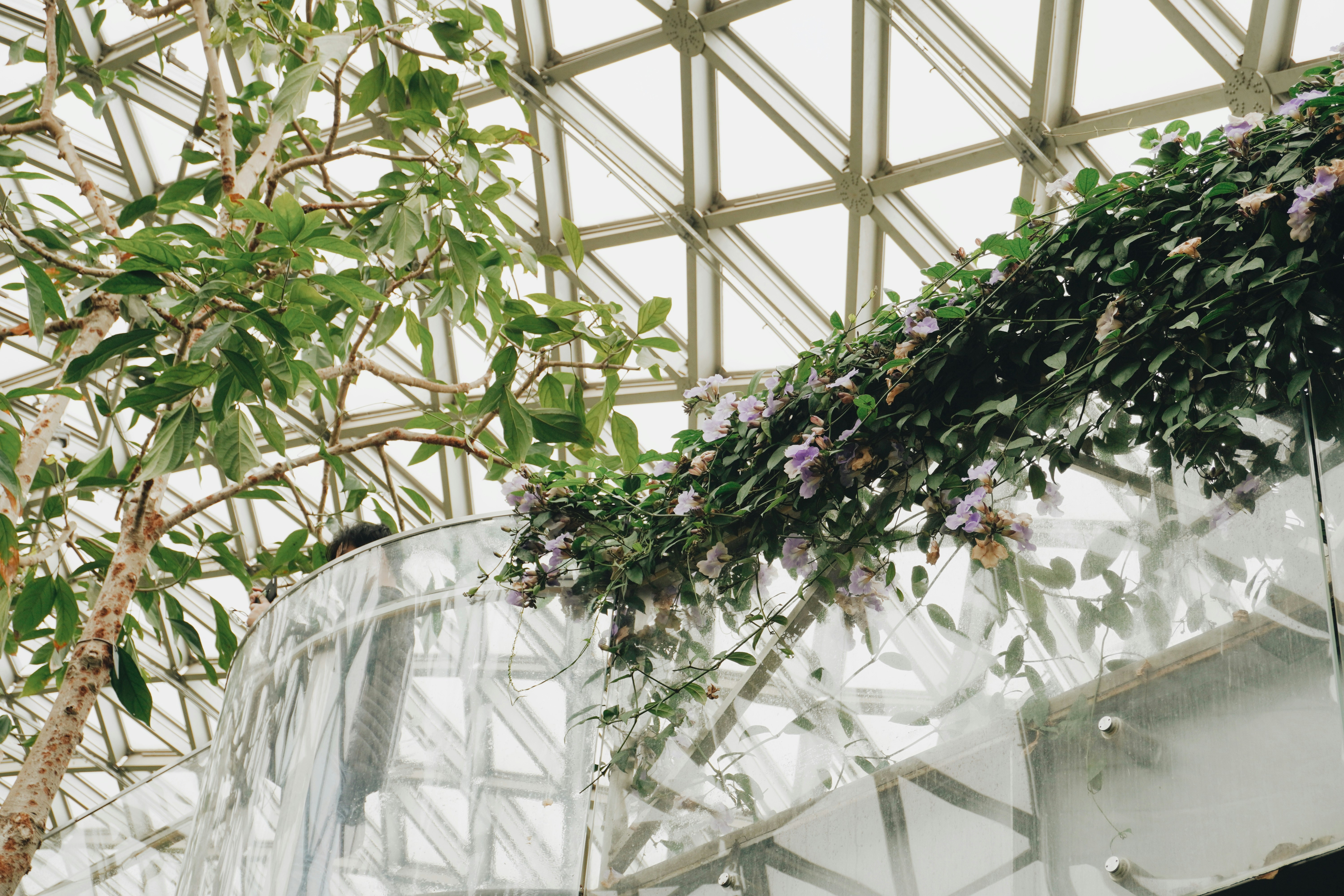 Photo by sakamotomari