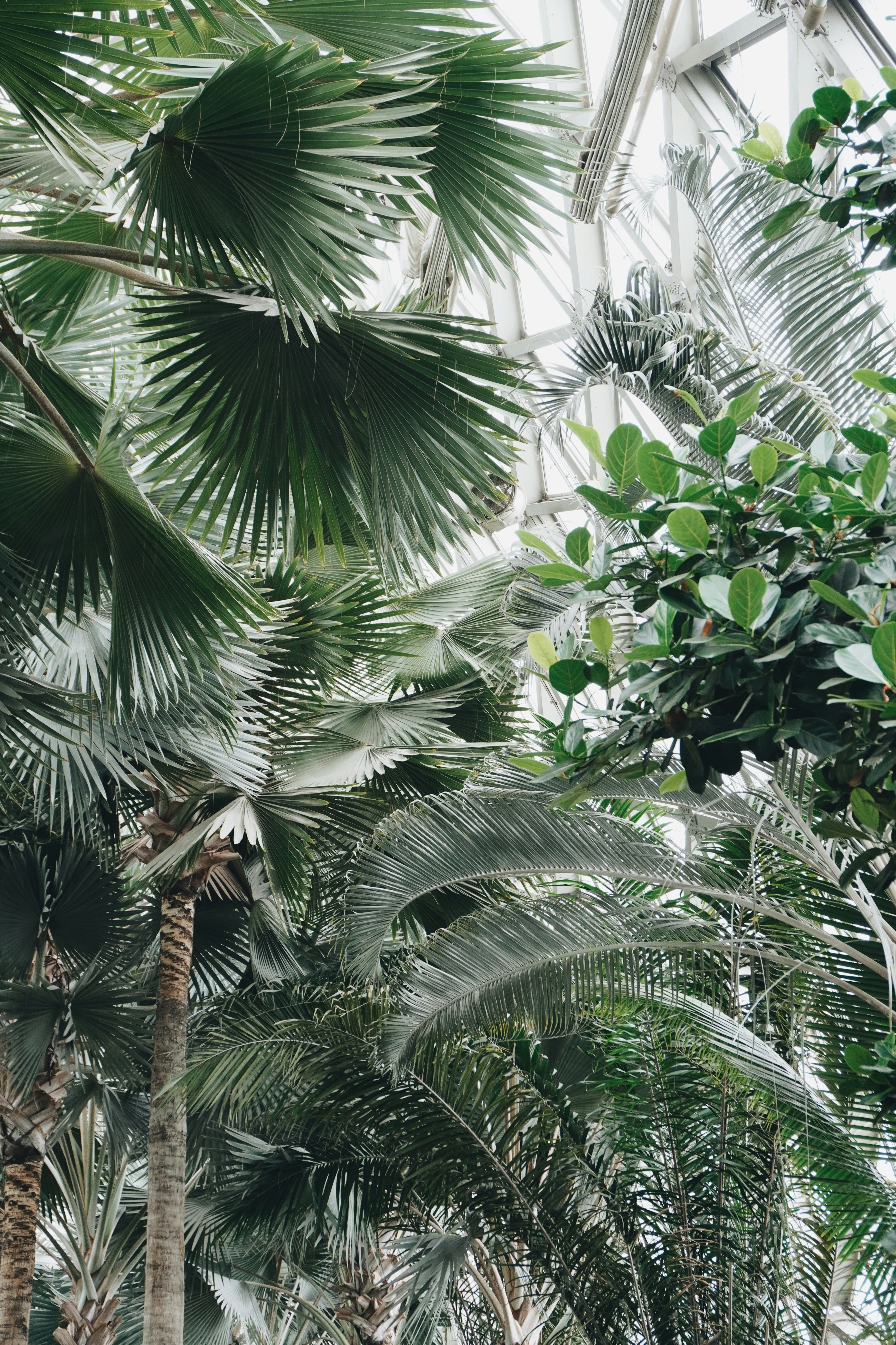 Photo by sakamotomari