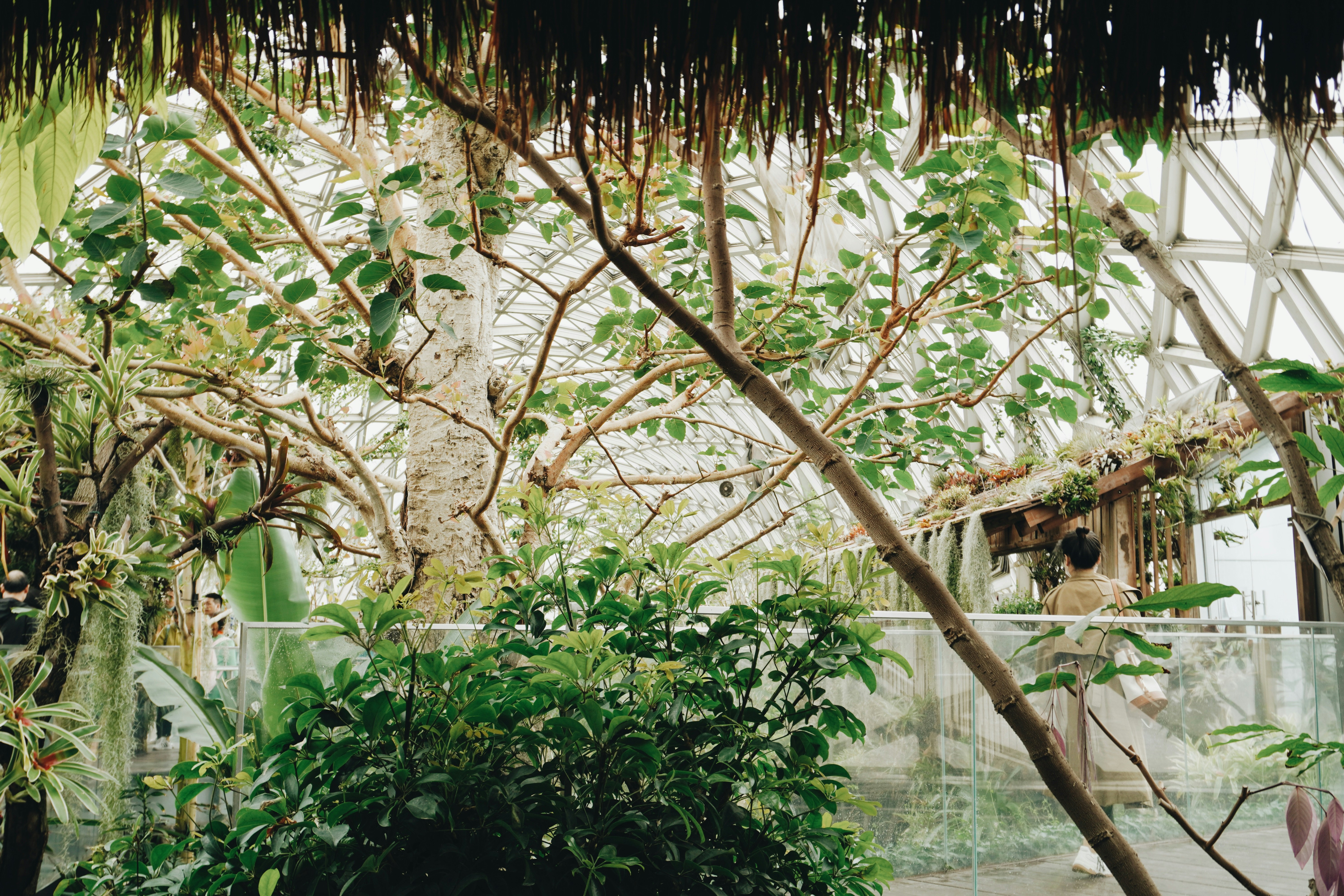 Photo by sakamotomari